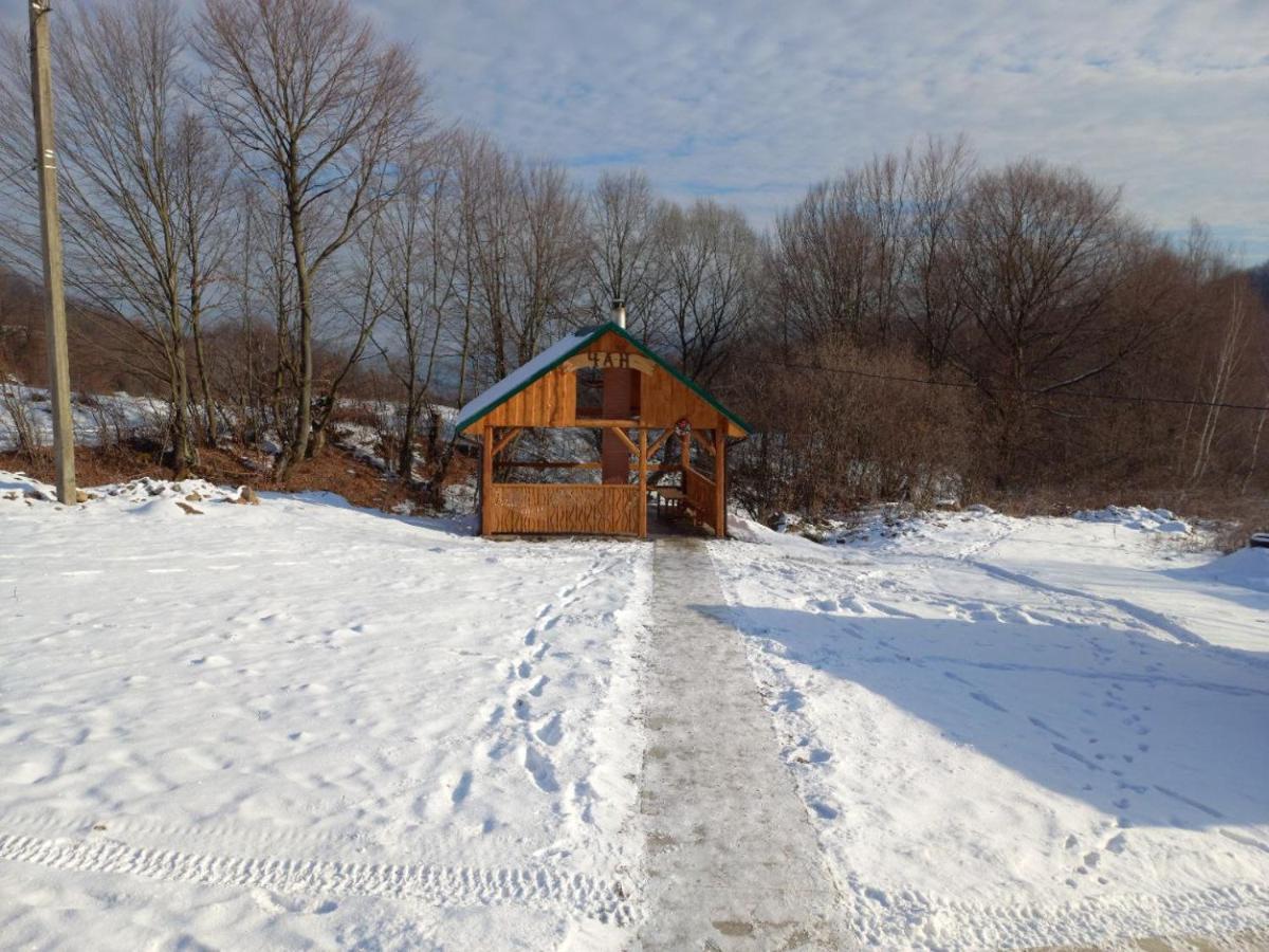 Соколів Камінь Novoselitsa  Exterior foto