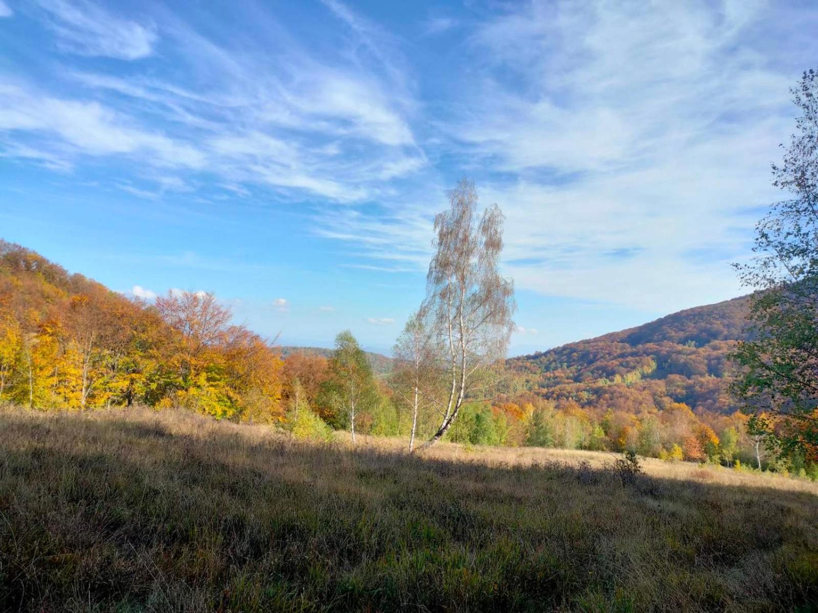 Соколів Камінь Novoselitsa  Exterior foto
