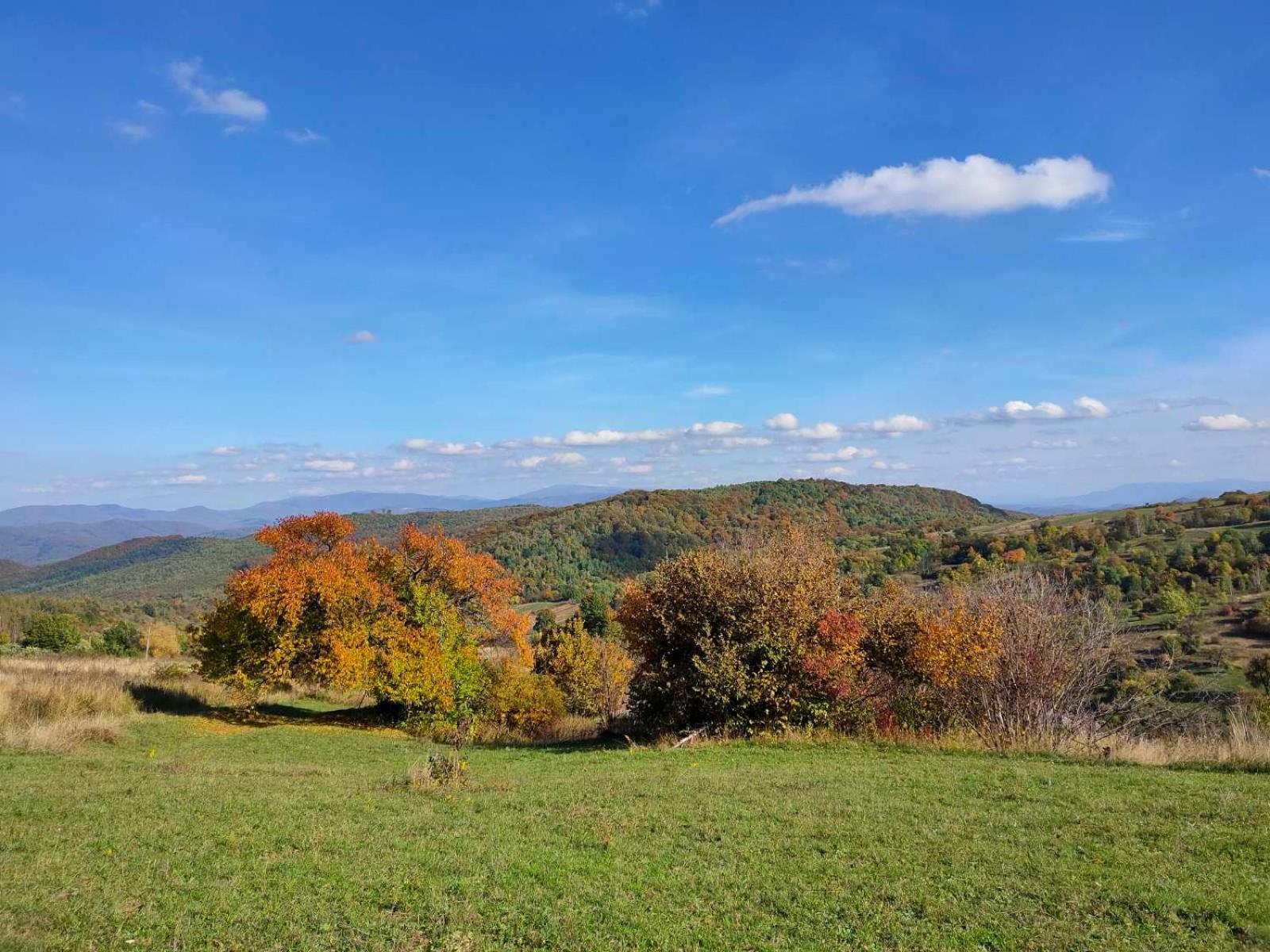 Соколів Камінь Novoselitsa  Exterior foto